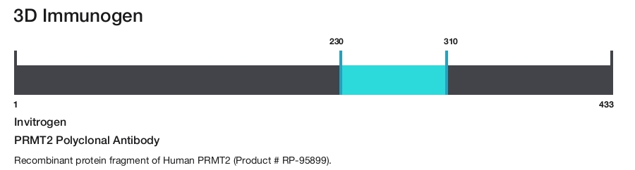 PRMT2 Polyclonal Antibody