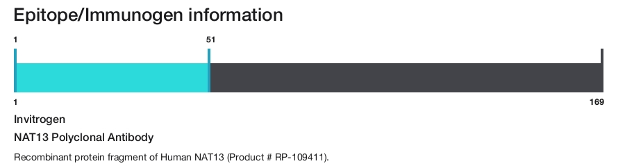 NAT13 Polyclonal Antibody