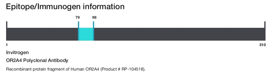 OR2A4 Polyclonal Antibody