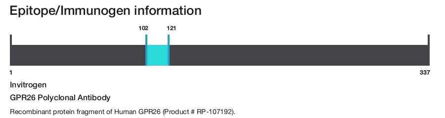GPR26 Polyclonal Antibody