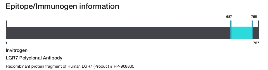 LGR7 Polyclonal Antibody