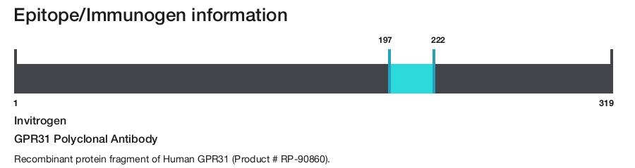 GPR31 Polyclonal Antibody