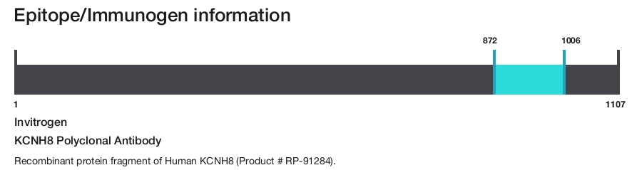 KCNH8 Polyclonal Antibody