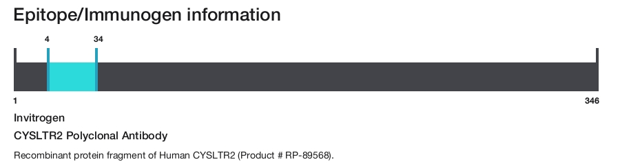 CYSLTR2 Polyclonal Antibody