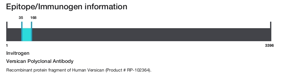 Versican Polyclonal Antibody