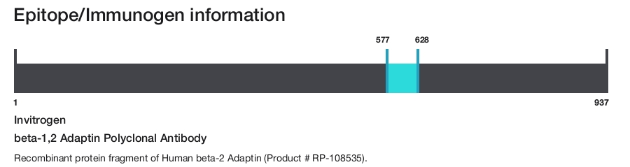 beta-1,2 Adaptin Polyclonal Antibody