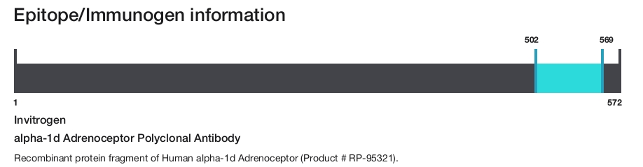 alpha-1d Adrenoceptor Polyclonal Antibody