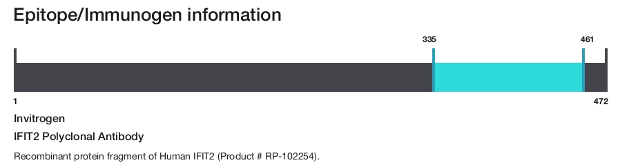 IFIT2 Polyclonal Antibody