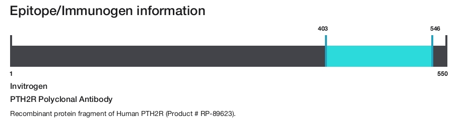 PTH2R Polyclonal Antibody