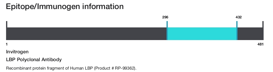 LBP Polyclonal Antibody