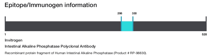 Intestinal Alkaline Phosphatase Polyclonal Antibody