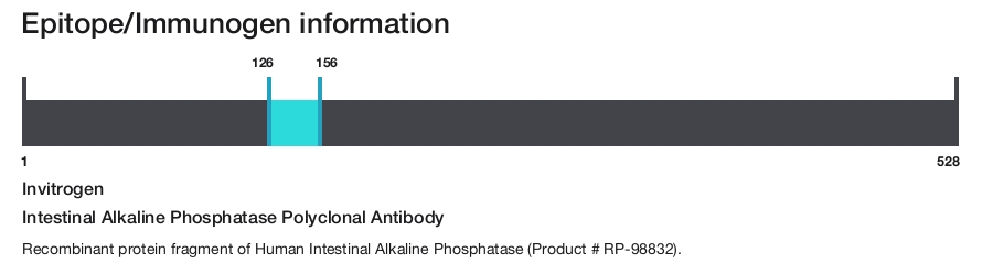 Intestinal Alkaline Phosphatase Polyclonal Antibody