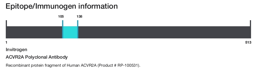 ACVR2A Polyclonal Antibody