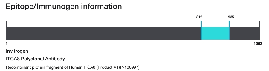 ITGA8 Polyclonal Antibody
