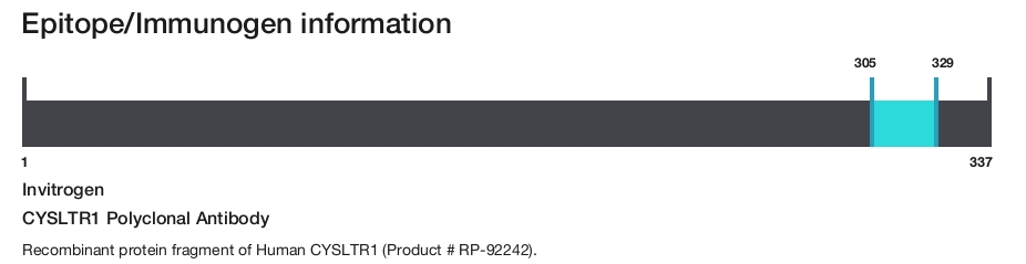 CYSLTR1 Polyclonal Antibody