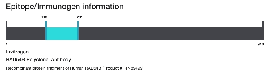RAD54B Polyclonal Antibody