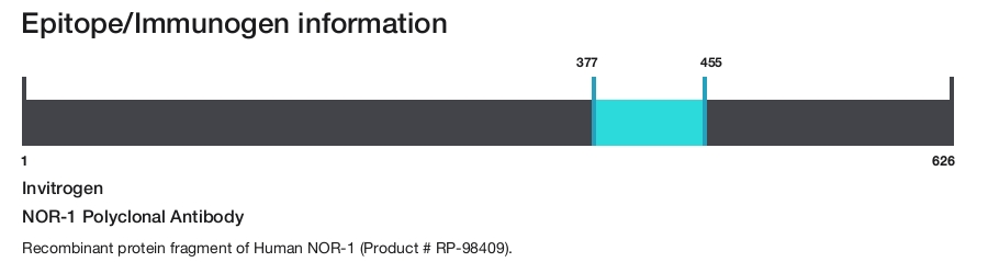 NOR-1 Polyclonal Antibody