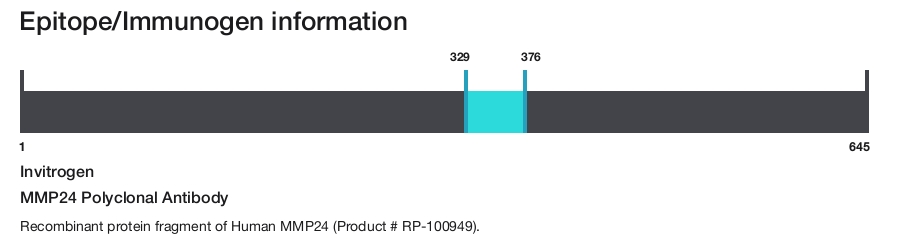 MMP24 Polyclonal Antibody