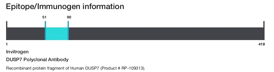 DUSP7 Polyclonal Antibody