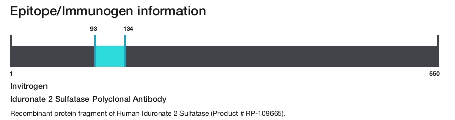 Iduronate 2 Sulfatase Polyclonal Antibody