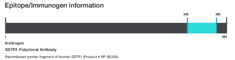 SSTR1 Polyclonal Antibody