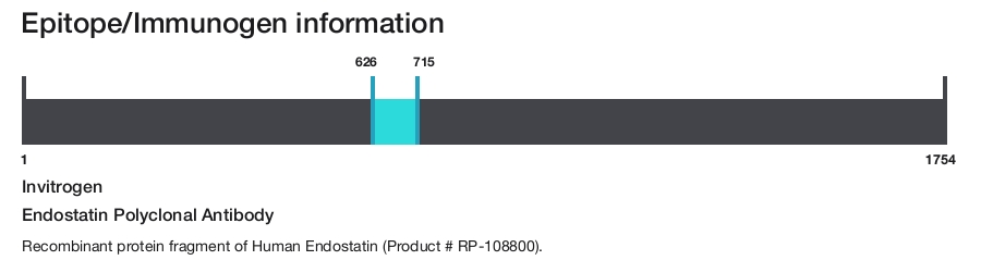 Endostatin Polyclonal Antibody