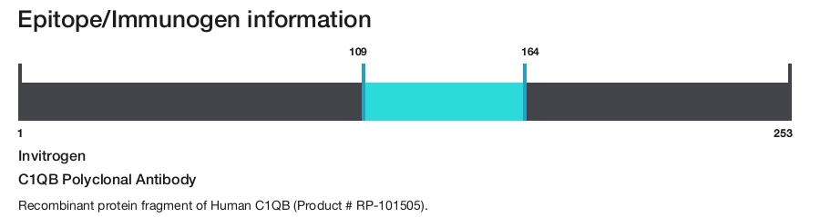 C1QB Polyclonal Antibody