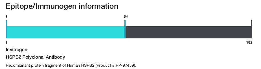 HSPB2 Polyclonal Antibody