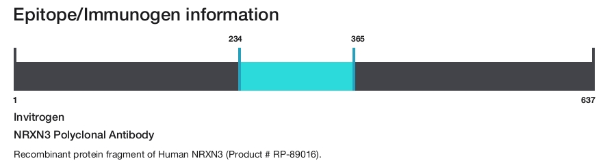 NRXN3 Polyclonal Antibody