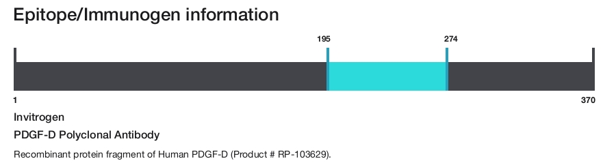 PDGF-D Polyclonal Antibody