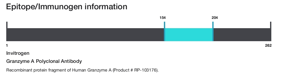 Granzyme A Polyclonal Antibody
