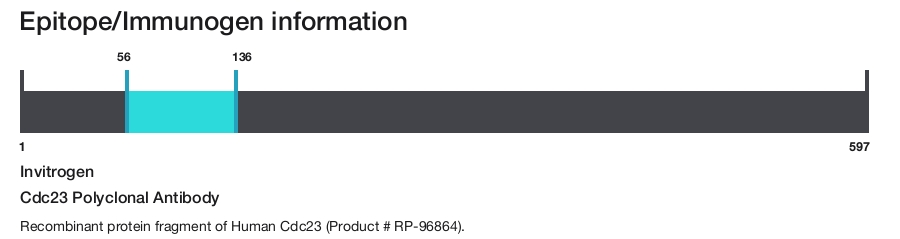 Cdc23 Polyclonal Antibody