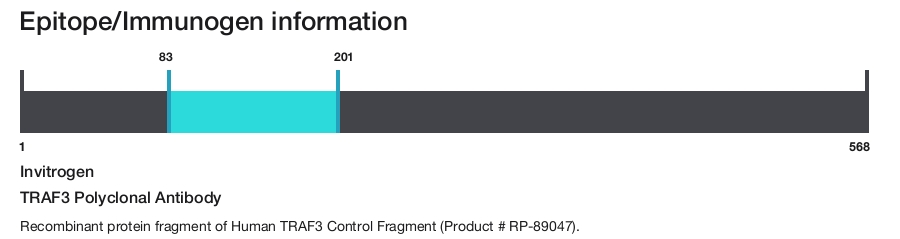 TRAF3 Polyclonal Antibody