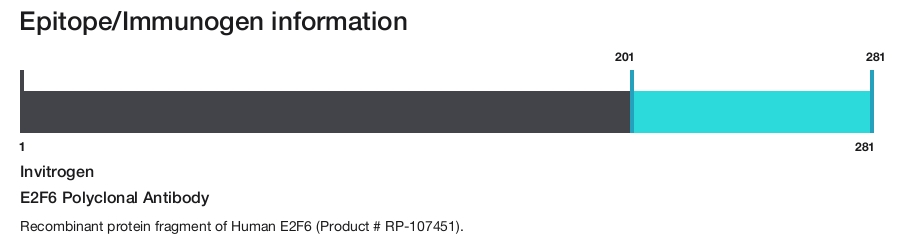 E2F6 Polyclonal Antibody