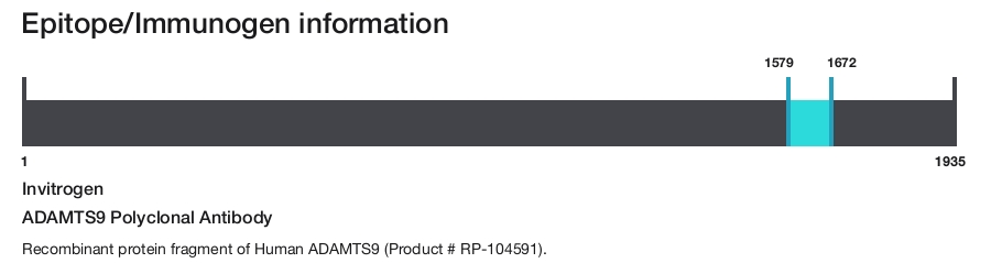 ADAMTS9 Polyclonal Antibody