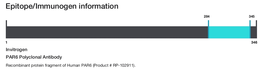 PAR6 Polyclonal Antibody