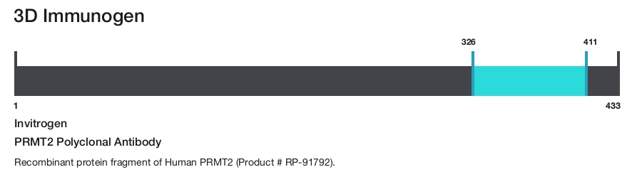 PRMT2 Polyclonal Antibody
