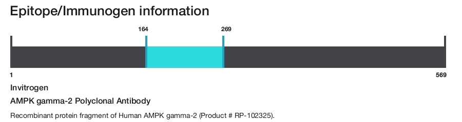 AMPK gamma-2 Polyclonal Antibody