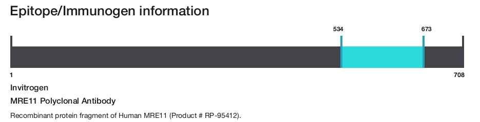 MRE11 Polyclonal Antibody