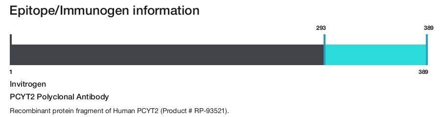 PCYT2 Polyclonal Antibody