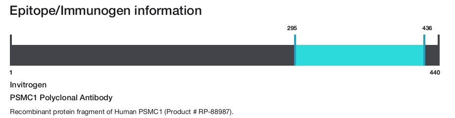 PSMC1 Polyclonal Antibody