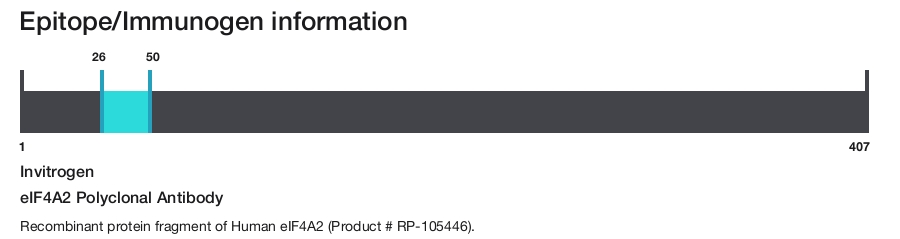 eIF4A2 Polyclonal Antibody