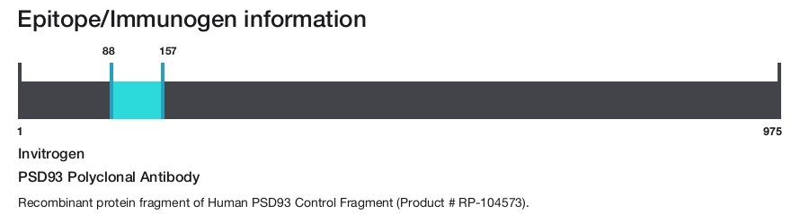 PSD93 Polyclonal Antibody