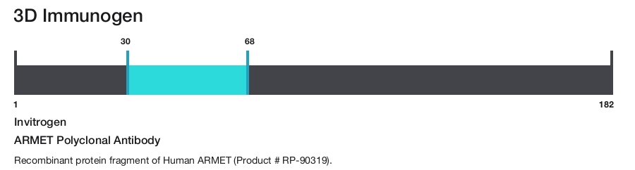 ARMET Polyclonal Antibody