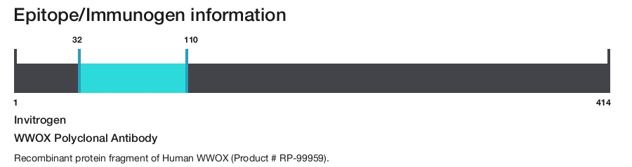 WWOX Polyclonal Antibody