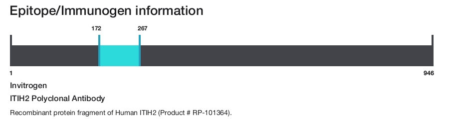 ITIH2 Polyclonal Antibody