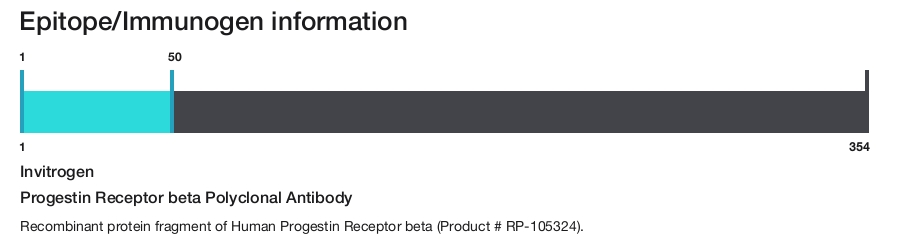 Progestin Receptor beta Polyclonal Antibody