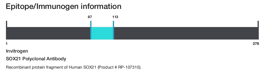 SOX21 Polyclonal Antibody