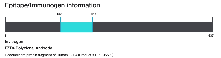 FZD4 Polyclonal Antibody