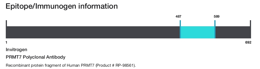 PRMT7 Polyclonal Antibody
